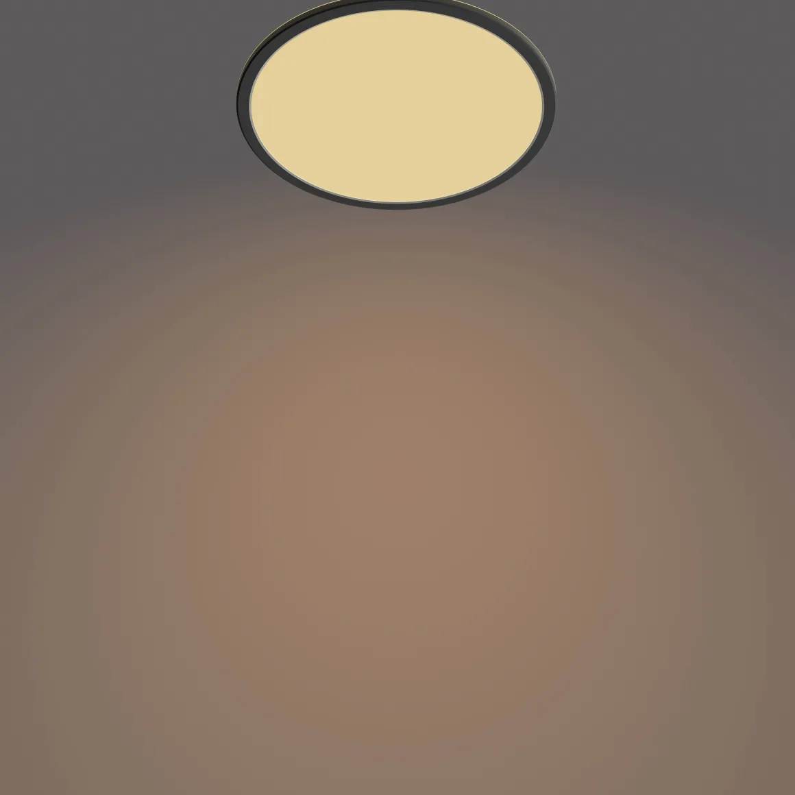 Philips Plafondlamp Superslim Zwart O30Cm 18W