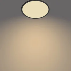 Philips Plafondlamp Superslim Zwart O30Cm 18W