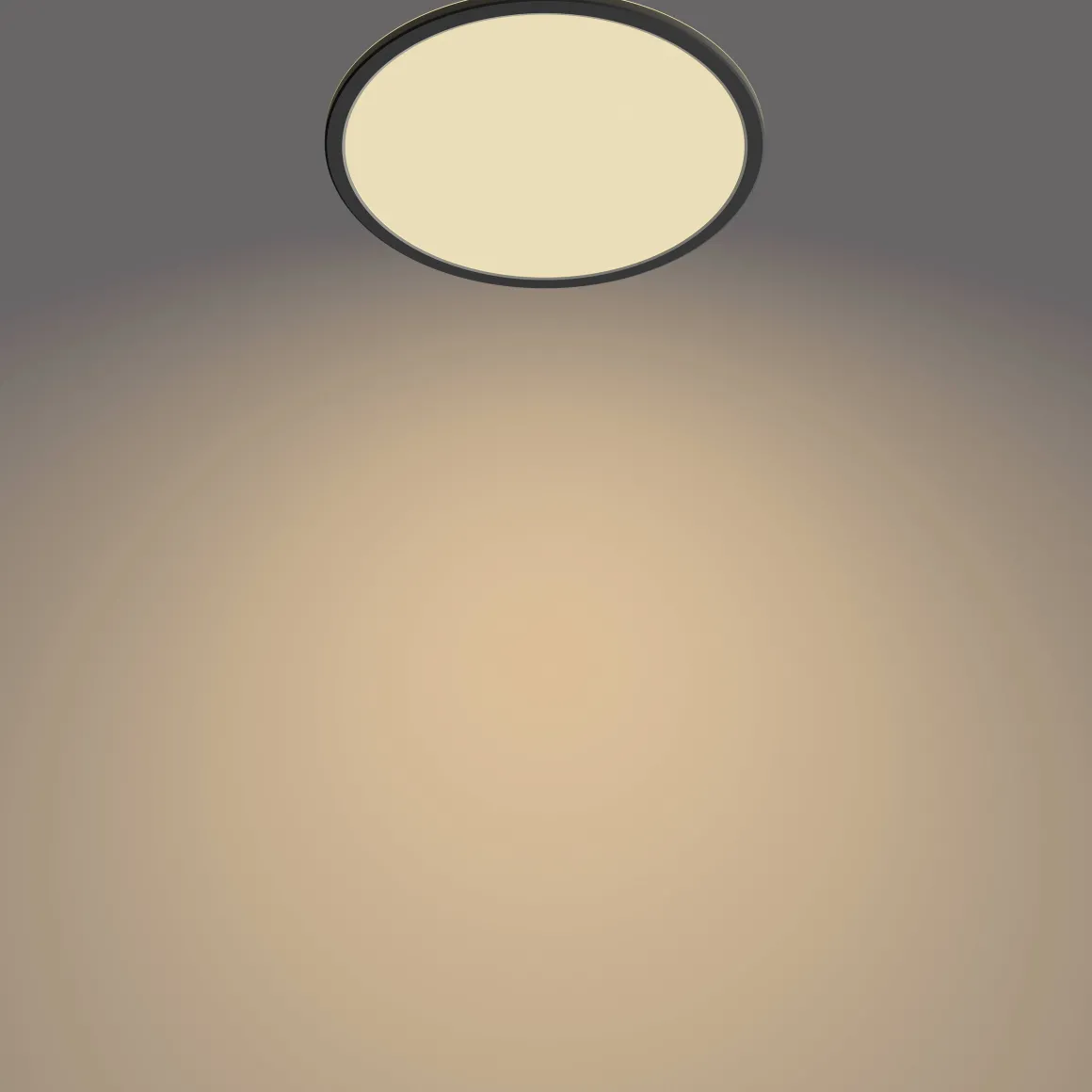 Philips Plafondlamp Superslim Zwart O30Cm 18W