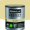 Renaulac Lak Protect Ral1015 Mat 750Ml