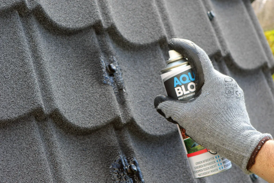 Rubson Coatingspray Aquablock Zwart 300Ml