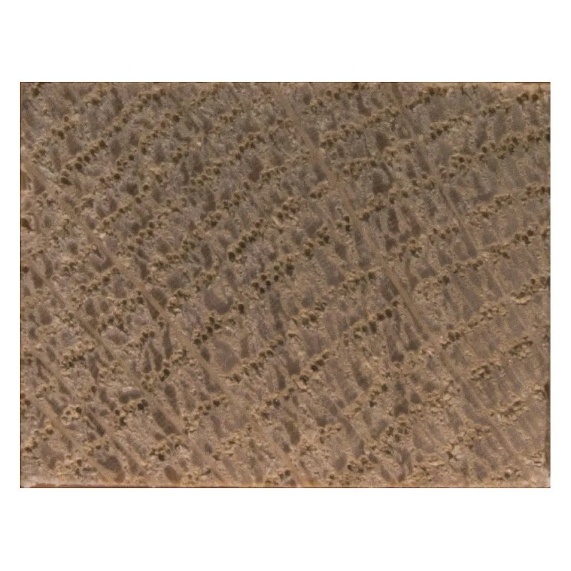 Schaaflat Eiken 19X25Mm 250Cm