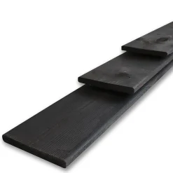 Schuttingplank Zwart 1,6X14X180Cm