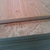 Sencys Multiplex-Paneel 'Topplex' 250X122X1,2Cm