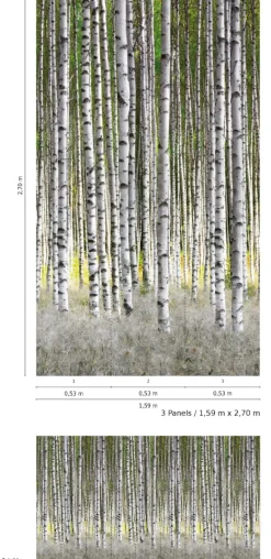 Smart Art Fotobehang Berkenbos