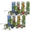 Smoothie Mix - Mix Van 8 - Goji,Cranberry,Bes, Kiwi - Pot 9Cm - Hoogte 25-40Cm