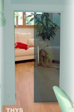 Thys Veiligheidsglas Schuifdeur 'Thytan Sliding' Grijs Gerookt 215X93Cm