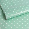 Transform Zelfklevende Decoratiefolie Dotty Mint 45X200Cm