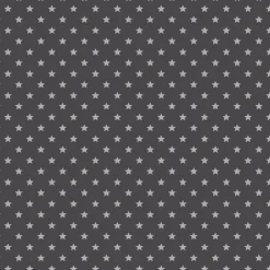 Transform Zelfklevende Decoratiefolie Stars Grijs 45X200Cm