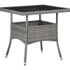 Vidaxl Tuintafel Poly Rattan En Glas Grijs