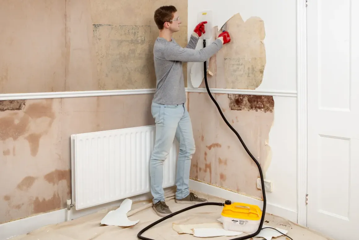 Wagner Behangafstomer Steamforce Eu