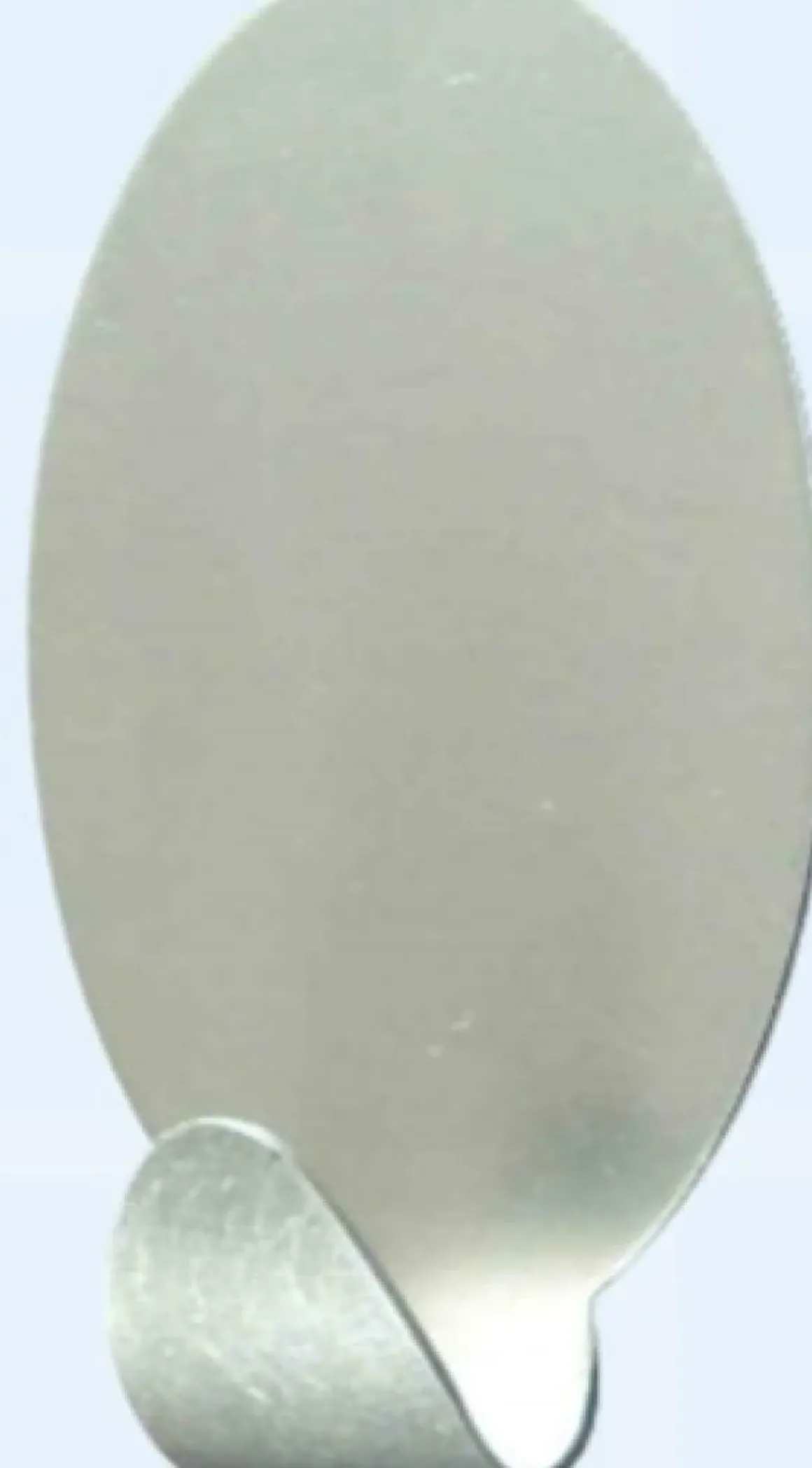 Walteco Zelfklevende Haak Qf18 Rvs 2 Stuks