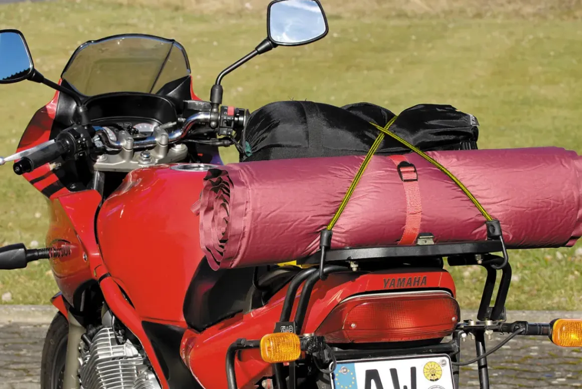 Wolfcraft Snelbinder 100Cm – 2 Stuks