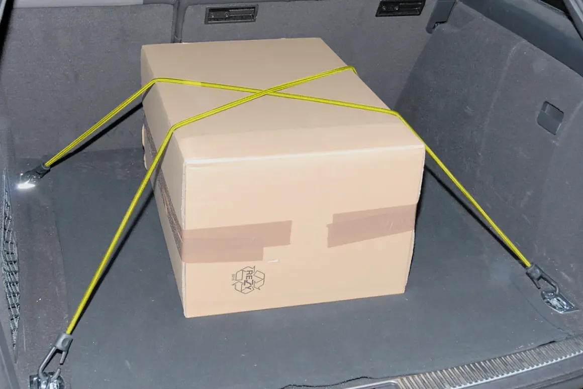 Wolfcraft Snelbinder 100Cm – 2 Stuks
