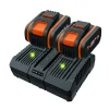 Worx 2 Batterijen + Dubbele Lader Wa3611 20V 4Ah